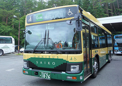 Sightseeing Bus（Green Line）